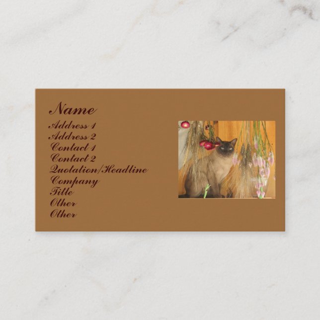 Siamese Cat Animal Fotografy Business Card #3 Visitenkarte (Vorderseite)