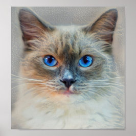 Siamese Cat-Blue Eyes Poster