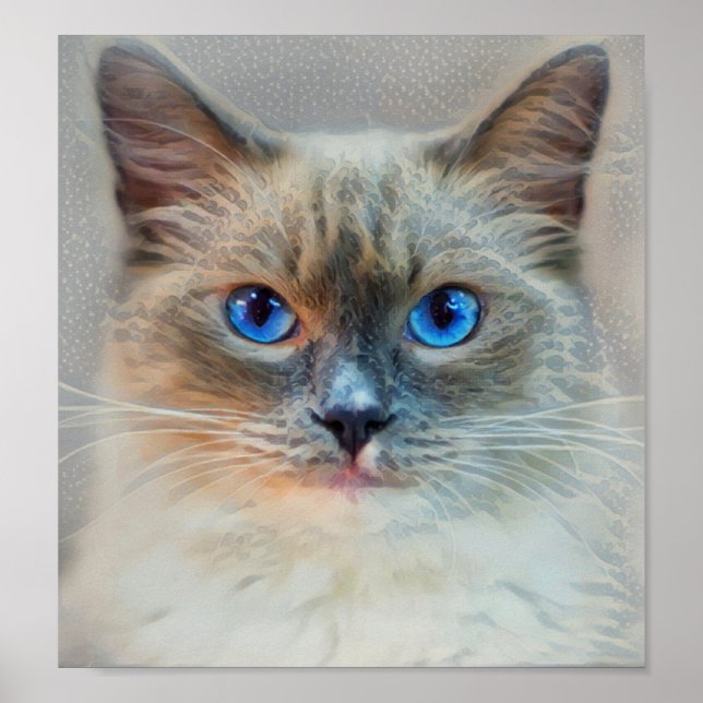 Siamese Cat-Blue Eyes Poster (Vorne)