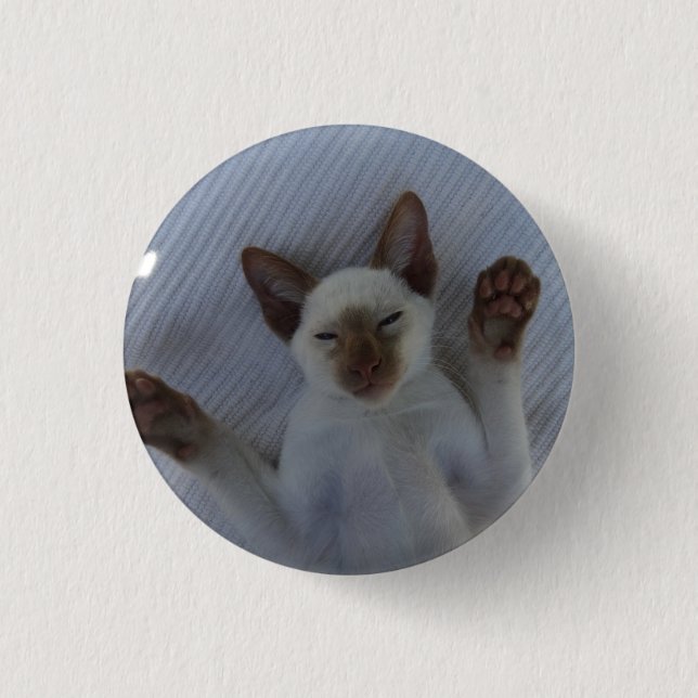 Siamese cat button (Vorderseite)