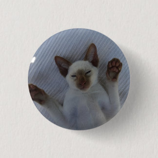 Siamese cat button