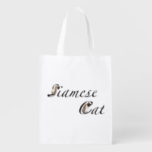 Siamese cat character