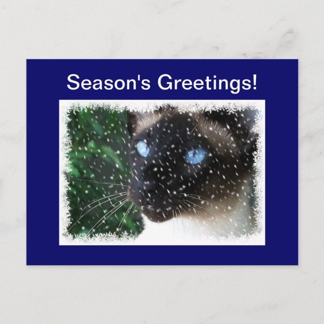 Siamese Cat Christmas Winter Feiertagspostkarte (Vorderseite)