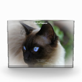 Siamese Cat Fotoblock