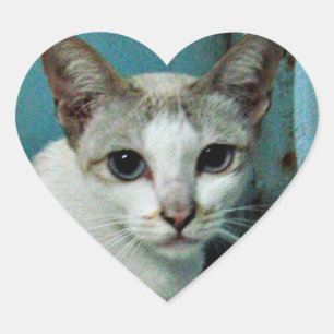 Siamese Cat Friend Herz-Aufkleber