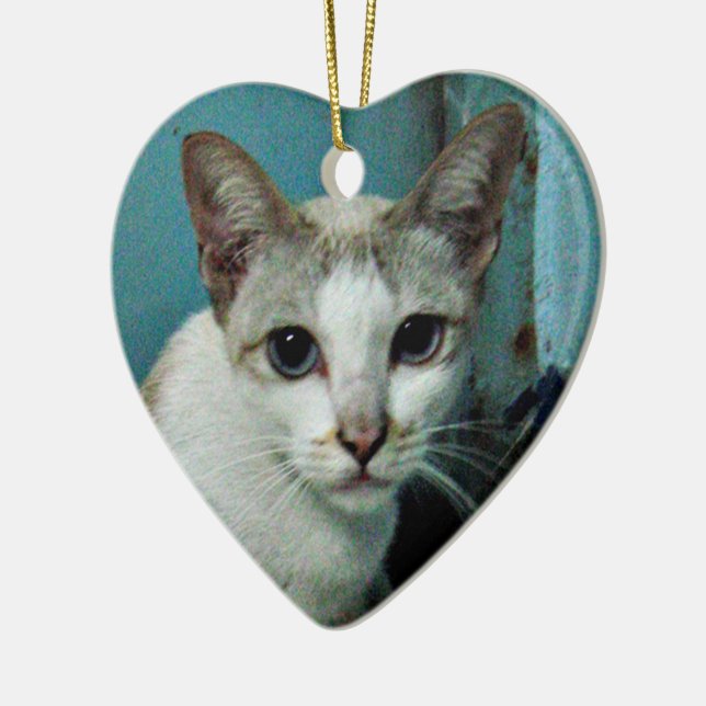 Siamese Cat Friend Keramikornament (Links)