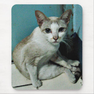 Siamese Cat Friend Mousepad