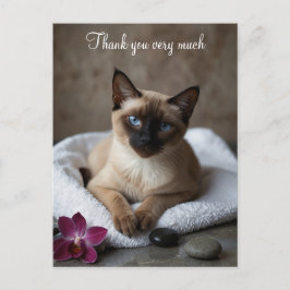 Siamese Cat im Wellness-Center Vielen Dank Postkarte