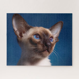 Siamese Cat. Jigsaw Puzzle