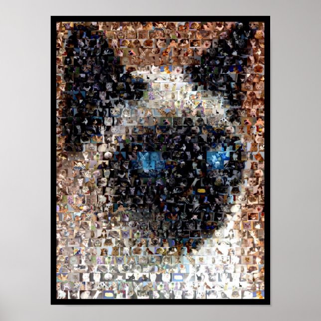 siamese Cat Montage Poster (Vorne)