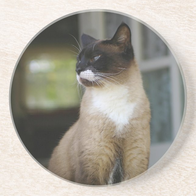 Siamese Cat on the Porch Untersetzer (Vorne)