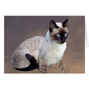 Siamese Cat Painting
