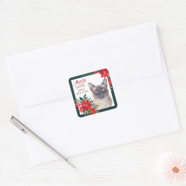 Siamese Cat Poinsettia Border Weihnachten Quadratischer Aufkleber (Umschlag)