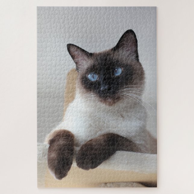 Siamese Cat Portrait (Vertikal)