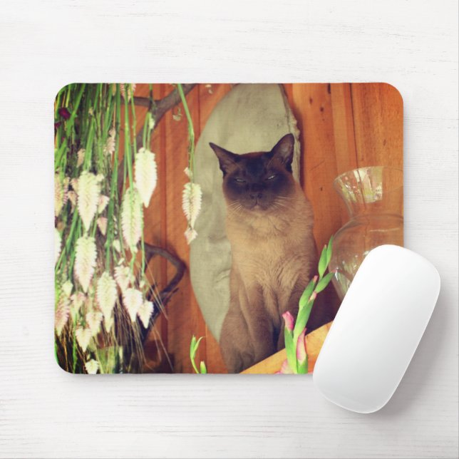 Siamese Cat Posing #1 Mousepad (Mit Mouse)
