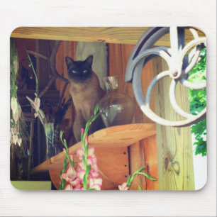 Siamese Cat Posing #2 Mousepad