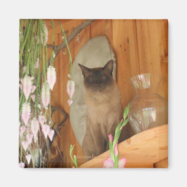 Siamese Cat Posing Animal Fotografy Magnet #1 (Vorne)