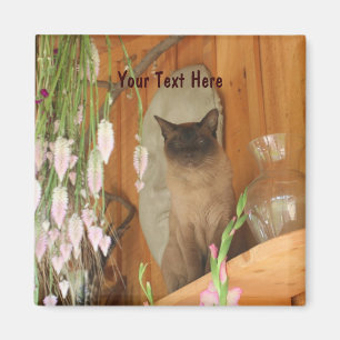 Siamese Cat Posing Animal Fotografy Magnet #1