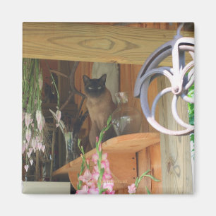 Siamese Cat Posing Animal Fotografy Magnet #2