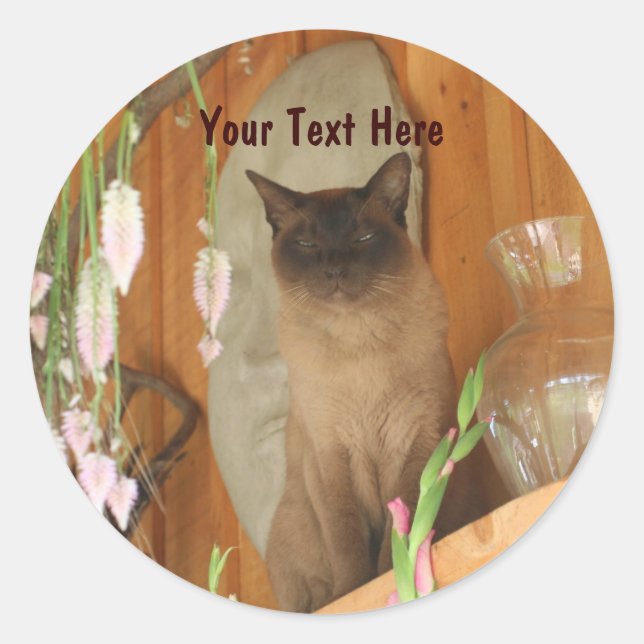 Siamese Cat Posing Animal Fotosticker #1 Runder Aufkleber (Vorderseite)