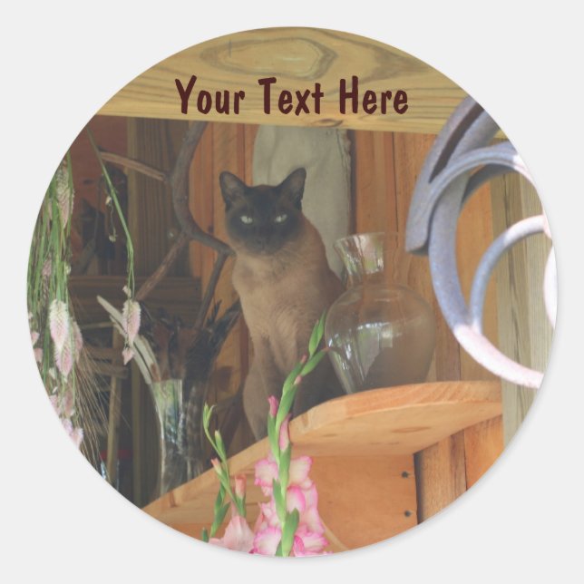 Siamese Cat Posing Animal Fotosticker #2 Runder Aufkleber (Vorderseite)
