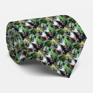 Siamese Cat Twins, Neck Tie Krawatte