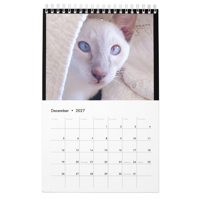 Siamese Cats Calendar Kalender (Dez 2027)