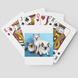 Siamese Cats Spielkarten