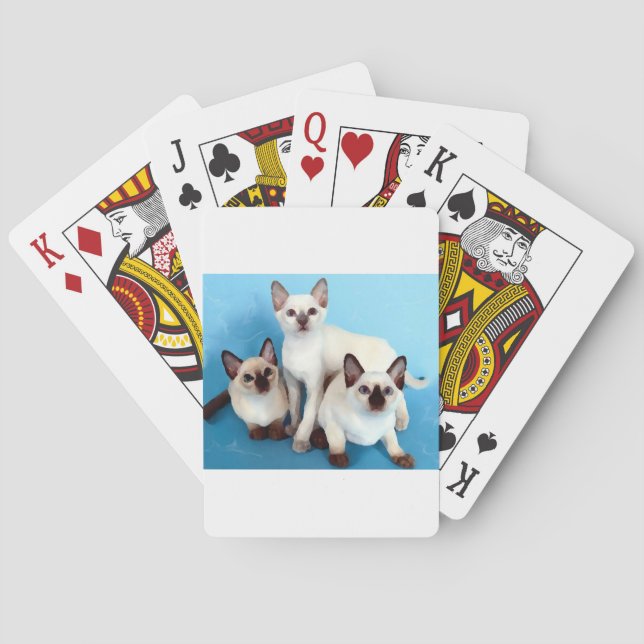 Siamese Cats Spielkarten (Rückseite)