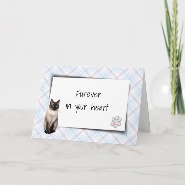 Siamese Katze auf Kariertem Beileid für Heimtiere Karte (Vorderseite)