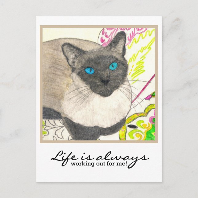Siamese Katze - "Das Leben arbeitet immer für mich Postkarte (Vorderseite)