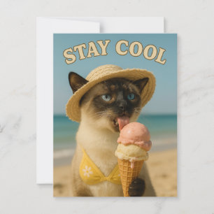 Siamese-Katze leckt Eis und bleibt cool Postkarte