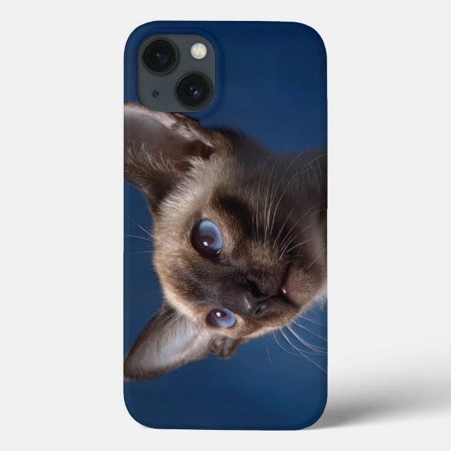 Siamese Katze mit blauen Augen Case-Mate iPhone Hülle (Rückseite)
