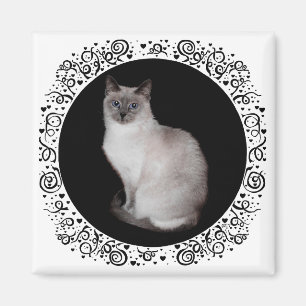 Siamese Katze mit blauen Augen Magnet