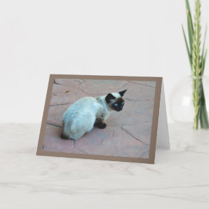 Siamese Kitten Feiertagskarte