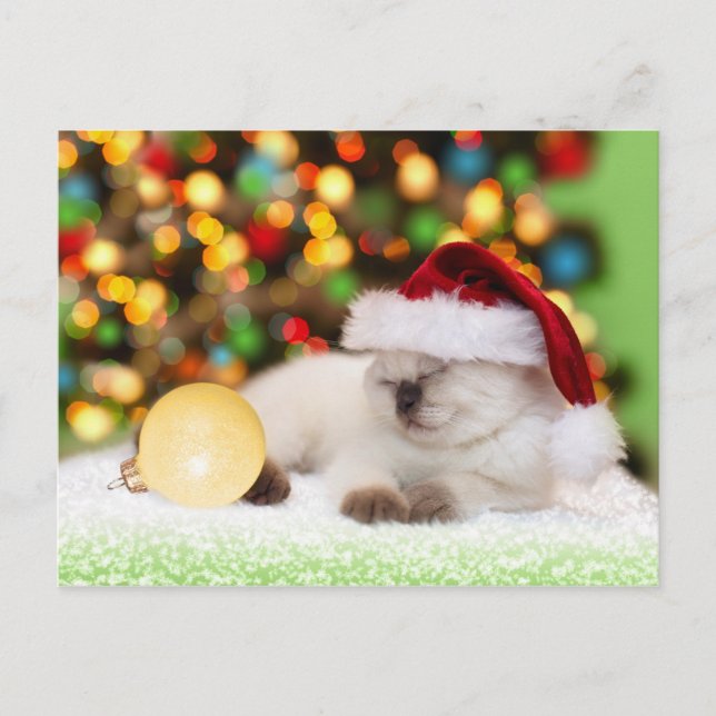 Siamese Kitten: Gold-Ornament Postkarte (Vorderseite)