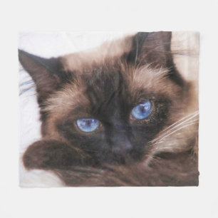 Siamese Kitten Sweetie Face Fleece Blanket