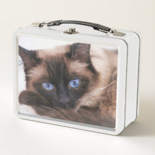 Siamese Kitten Sweetie Face Metall Brotdose