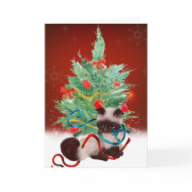 Siamese Kitten Weihnachtskarte