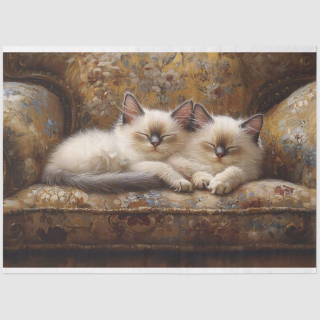 Siamese Kittens Napping Vintage Couch Decoupage Seidenpapier (Vorderseite)