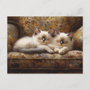 Siamese Kittens Napping Vintage Couch Postkarte