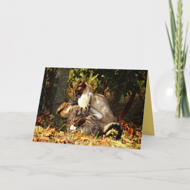 Siamese Kitty Cat Niedliche individuell anpassbare Karte (Vorderseite)