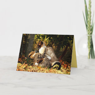 Siamese Kitty Chat Cute Carte personnalisable