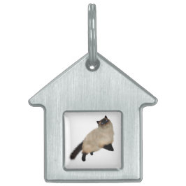 Siamese Long Hair Cat Tiermarke