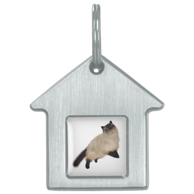 Siamese Long Hair Cat Tiermarke (Vorderseite)