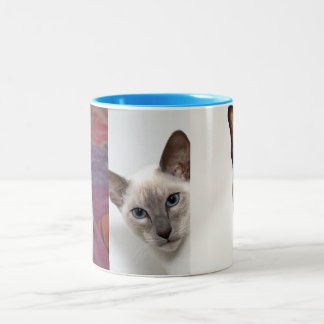 SIAMESE ZWEIFARBIGE TASSE