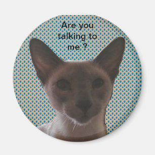 Siamesische alberne Katze Magnet