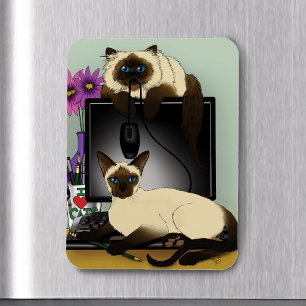 Siamesische Computer Büro Schreibtisch Katzen Lust Magnet