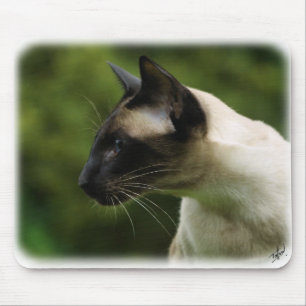 Siamesische Katze 9W027D-128 Mousepad