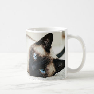 Siamesische Katze Coffe Tasse